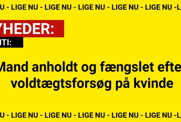 Mand anholdt og fængslet efter voldtægtsforsøg på kvinde