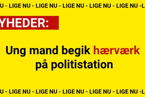 Ung mand begik hærværk på politistation