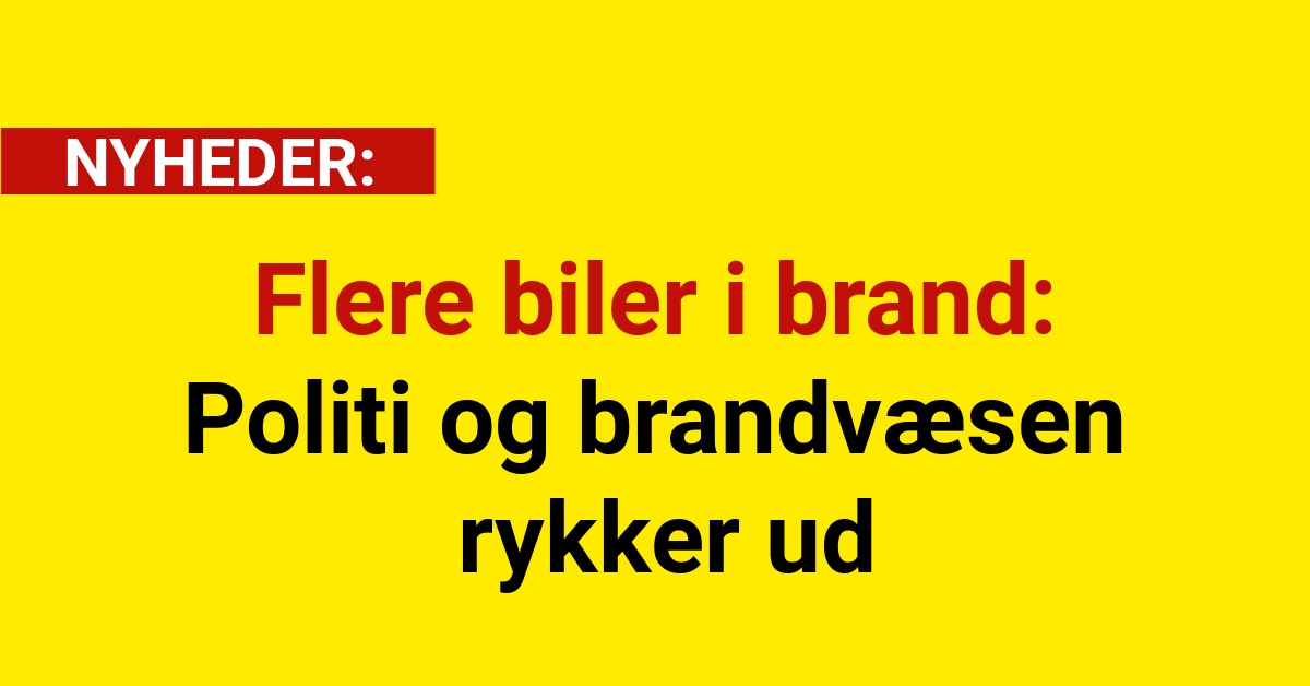 Flere biler i flammer: Brandvæsen og politi rykker ud