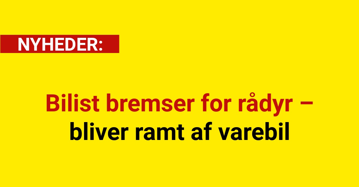 Bilist bremser for rådyr – bliver ramt af varebil