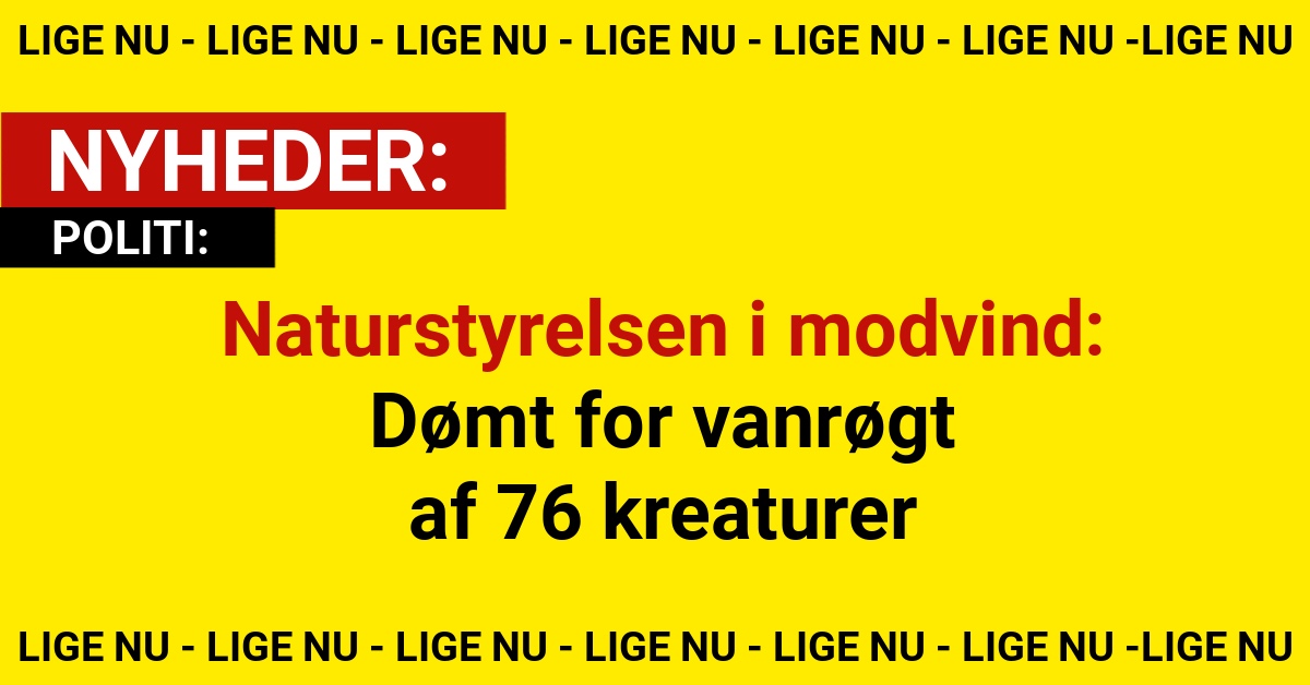 Naturstyrelsen i modvind: Dømt for vanrøgt af 76 kreaturer
