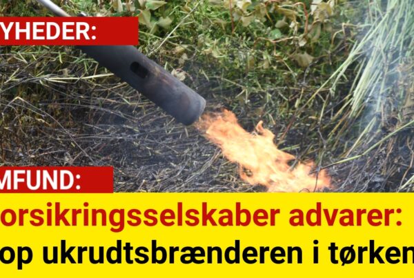 Forsikringsselskaber advarer: Drop ukrudtsbrænderen i tørken