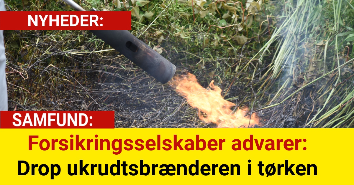 Forsikringsselskaber advarer: Drop ukrudtsbrænderen i tørken