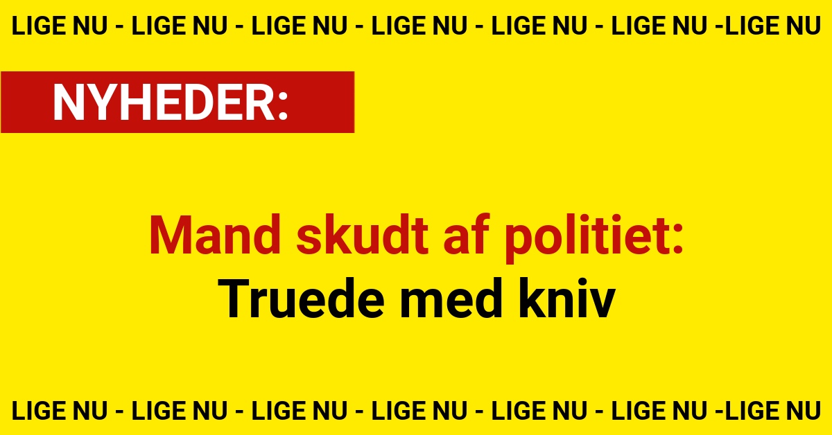 Mand skudt af politiet: Truede med kniv