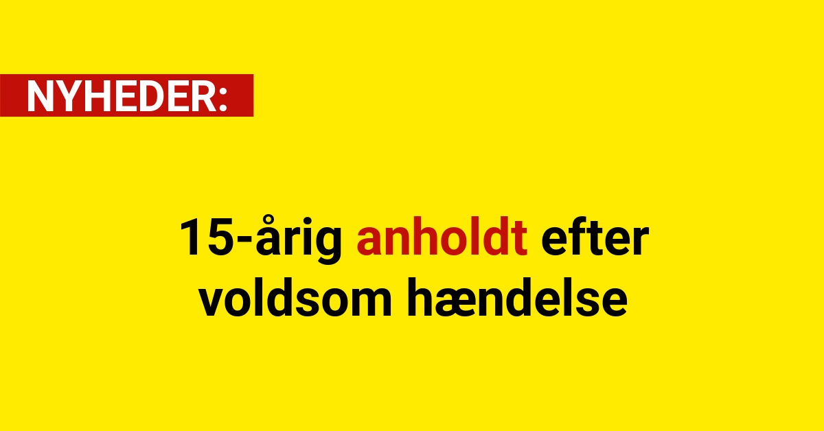 15-årig anholdt efter voldsom hændelse