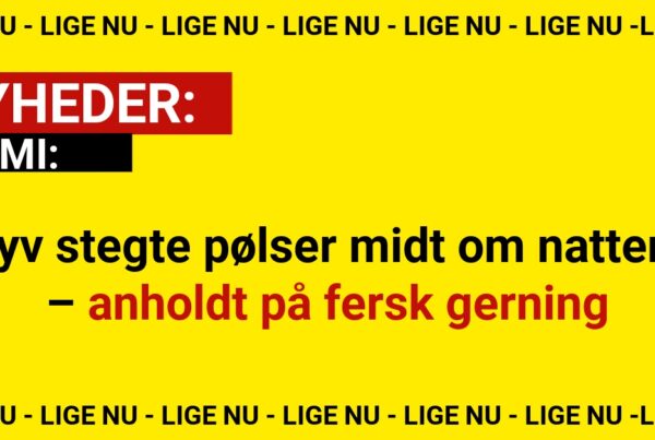 Tyv stegte pølser midt om natten – anholdt på fersk gerning
