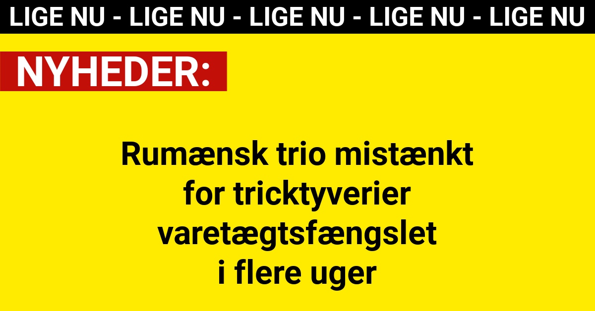 Rumænsk trio mistænkt for tricktyverier – varetægtsfængslet i flere uger
