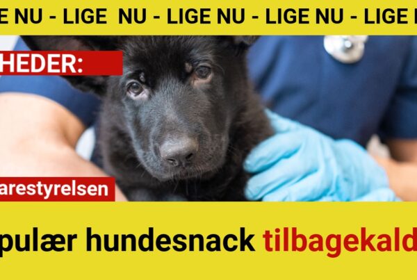 Populær hundesnack tilbagekaldt