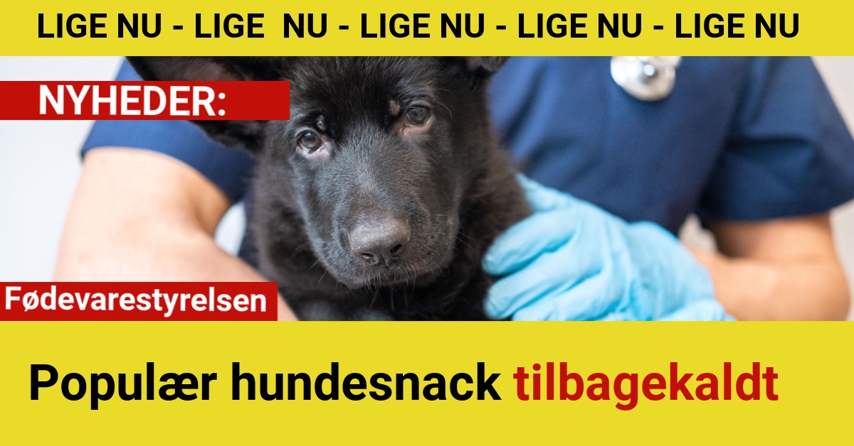 Populær hundesnack tilbagekaldt
