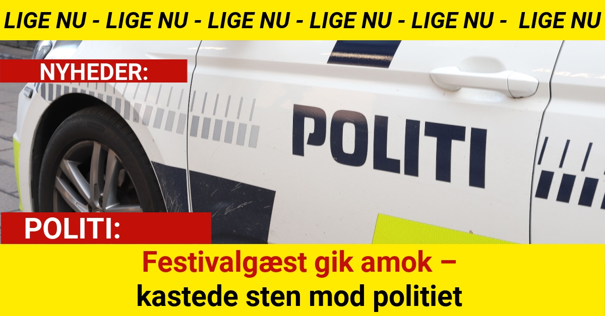 Festivalgæst gik amok – kastede sten mod politiet