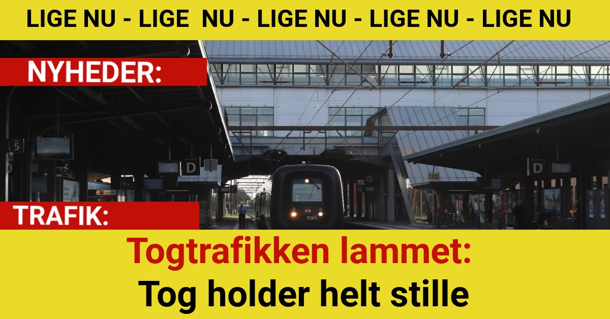 Togtrafikken lammet: Tog holder helt stille