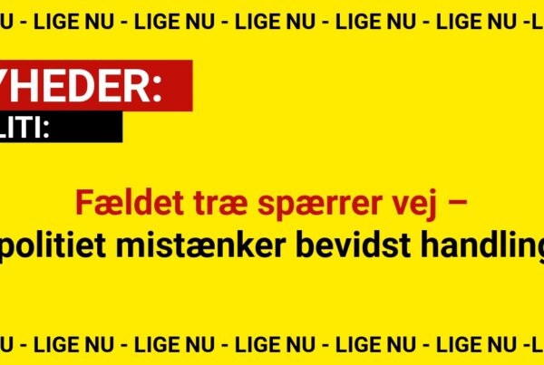 Fældet træ spærrer vej – politiet mistænker bevidst handling