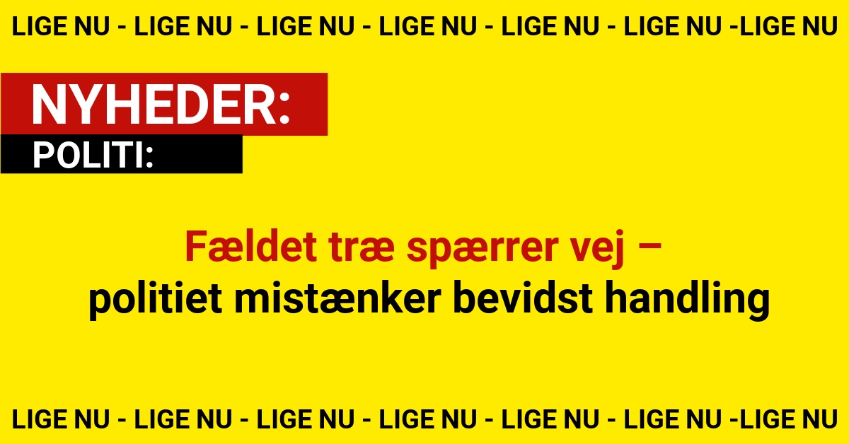 Fældet træ spærrer vej – politiet mistænker bevidst handling