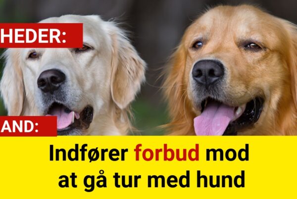 Indfører forbud mod at gå tur med hund
