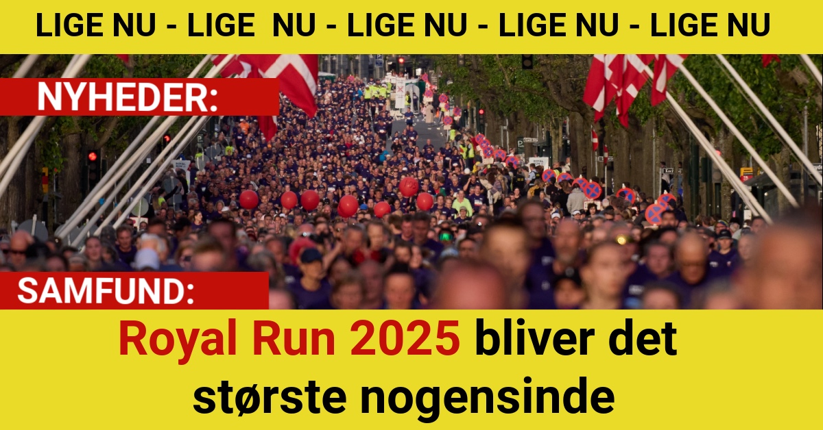 Royal Run 2025 bliver det største nogensinde
