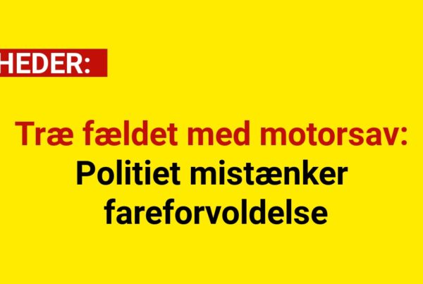 Træ fældet med motorsav: Politiet mistænker fareforvoldelse