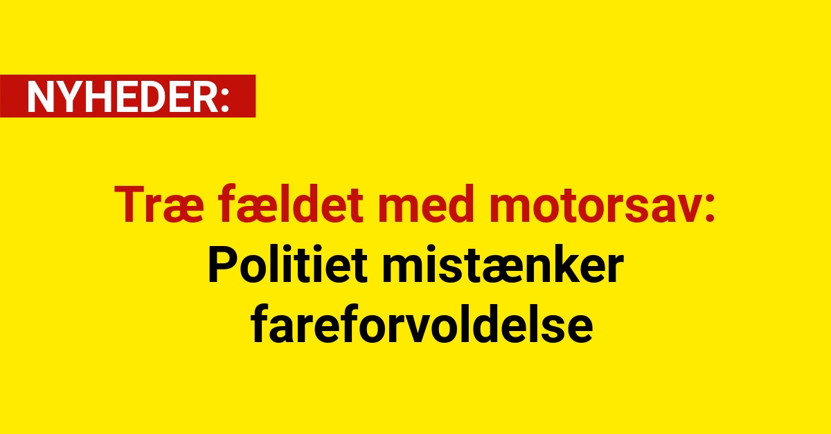 Træ fældet med motorsav: Politiet mistænker fareforvoldelse