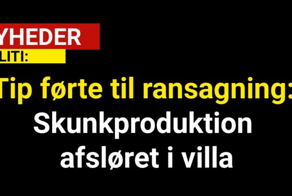 Tip førte til ransagning: Skunkproduktion afsløret i villa