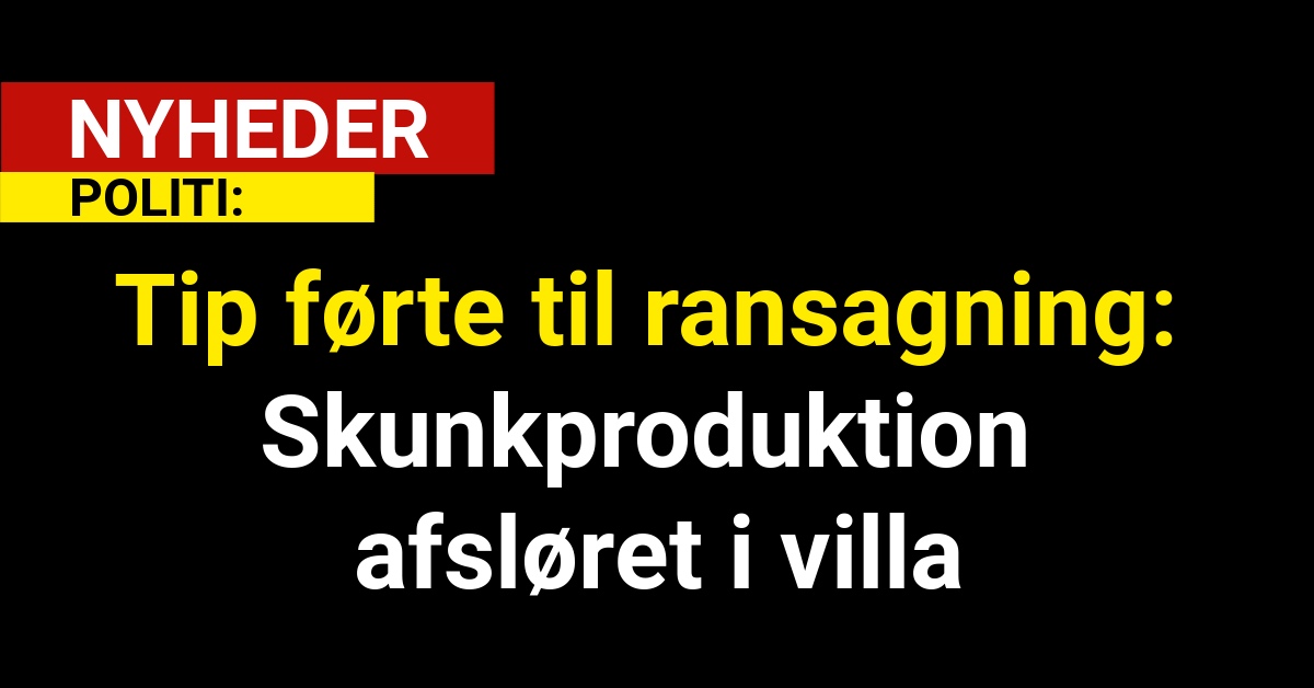 Tip førte til ransagning: Skunkproduktion afsløret i villa