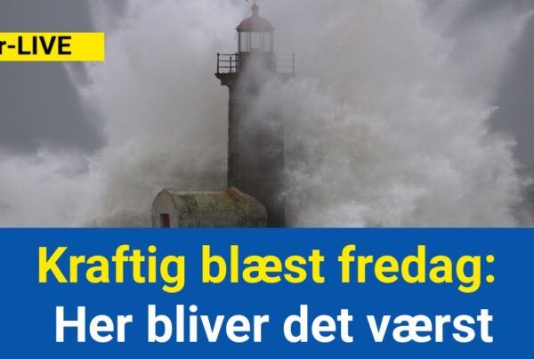 Kraftig blæst fredag: Her bliver det værst