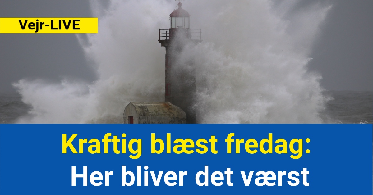 Kraftig blæst fredag: Her bliver det værst