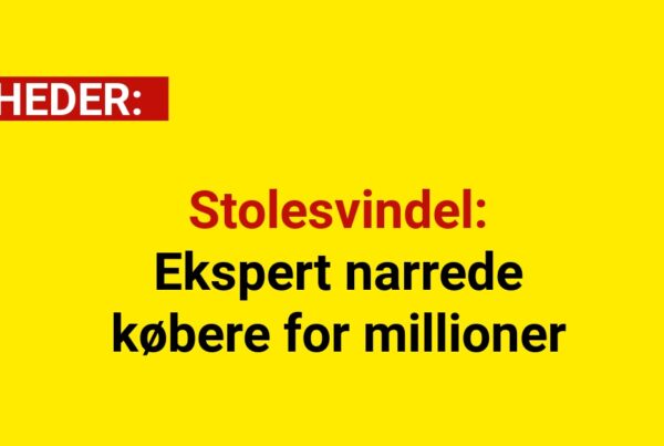 Stolesvindel: Ekspert narrede købere for millioner