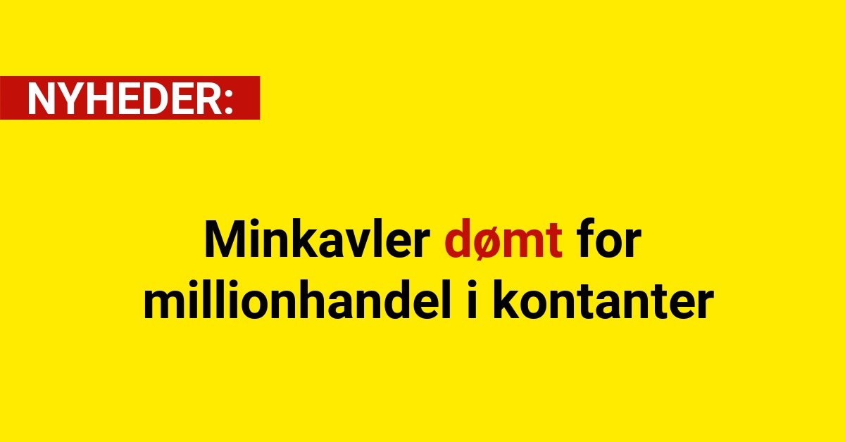 Minkavler dømt for millionhandel i kontanter