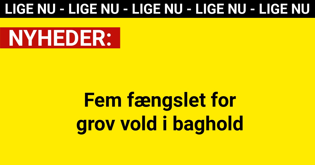 Fem fængslet for grov vold i baghold