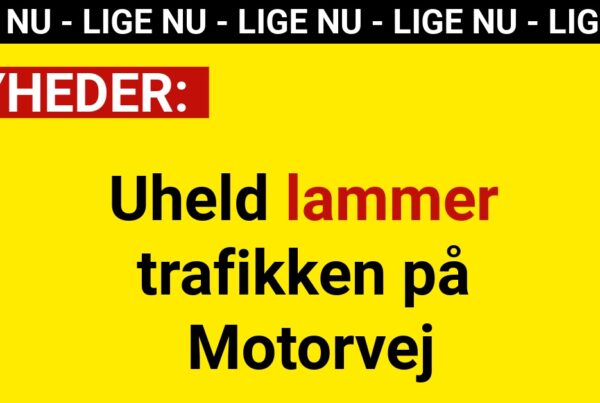Uheld lammer trafikken på Motorvej