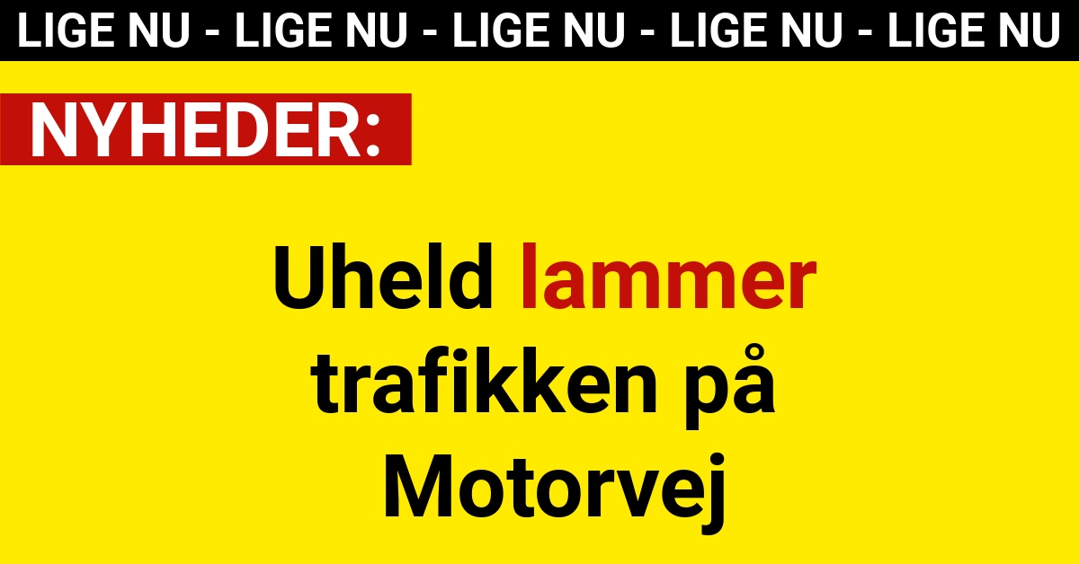 Uheld lammer trafikken på Motorvej
