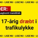 17-årig dræbt i trafikulykke - Mand tiltalt for uagtsomt manddrab