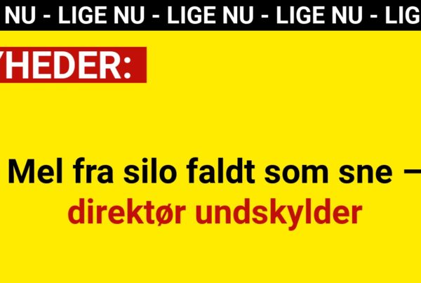 Mel fra silo faldt som sne – direktør undskylder