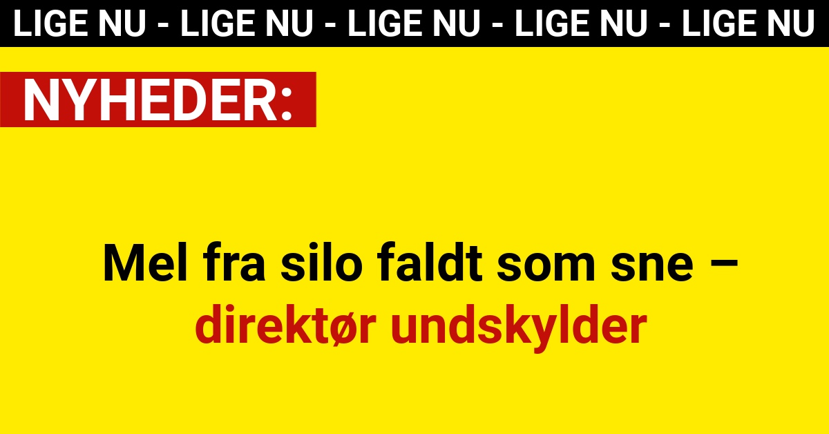Mel fra silo faldt som sne – direktør undskylder