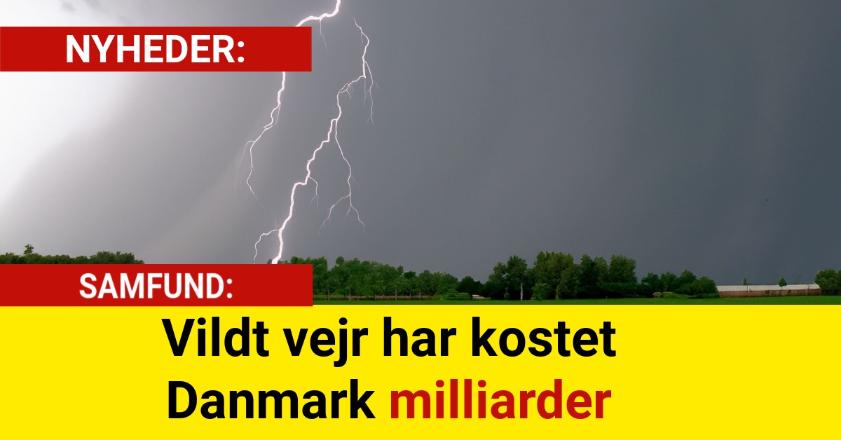 Vildt vejr har kostet Danmark milliarder