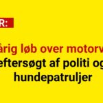 10-årig løb over motorvej – eftersøgt af politi og hundepatruljer