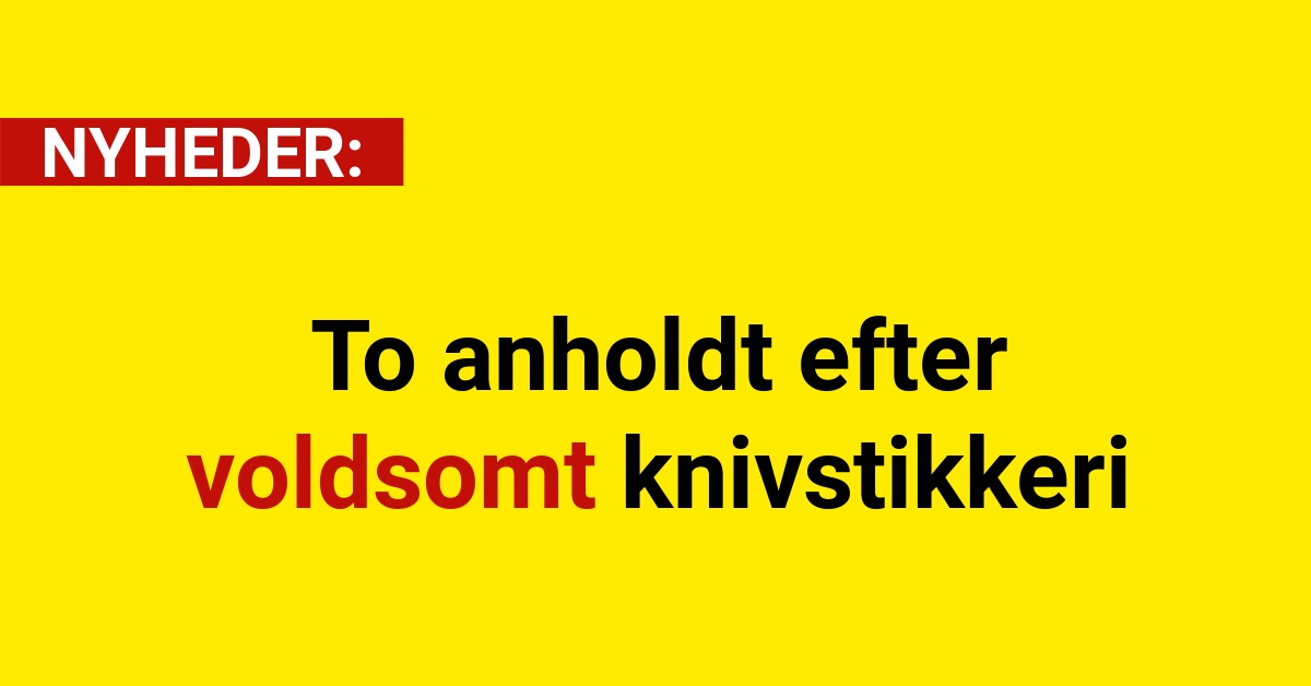 To anholdt efter voldsomt knivstikkeri