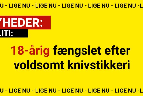 18-årig fængslet efter voldsomt knivstikkeri