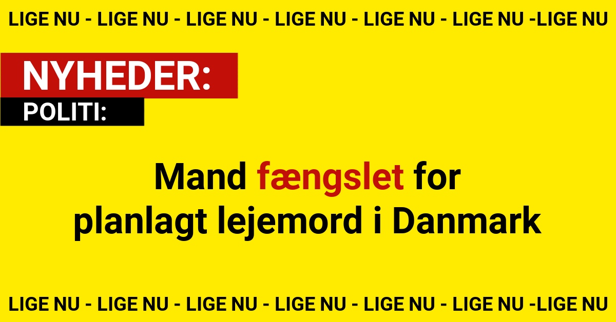 Mand fængslet for planlagt lejemord i Danmark