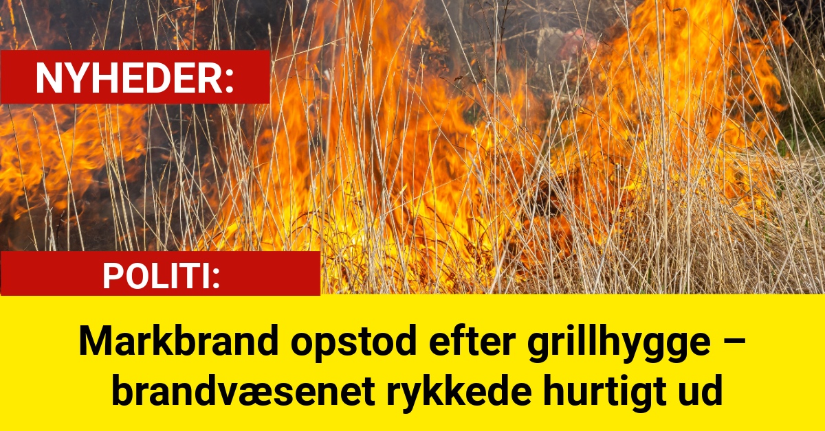 Markbrand opstod efter grillhygge – brandvæsenet rykkede hurtigt ud