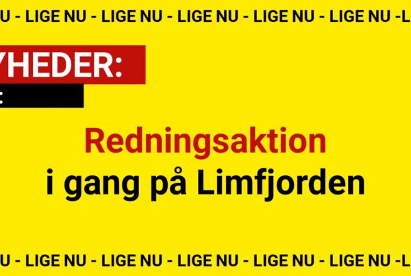 Redningsaktion i gang på Limfjorden