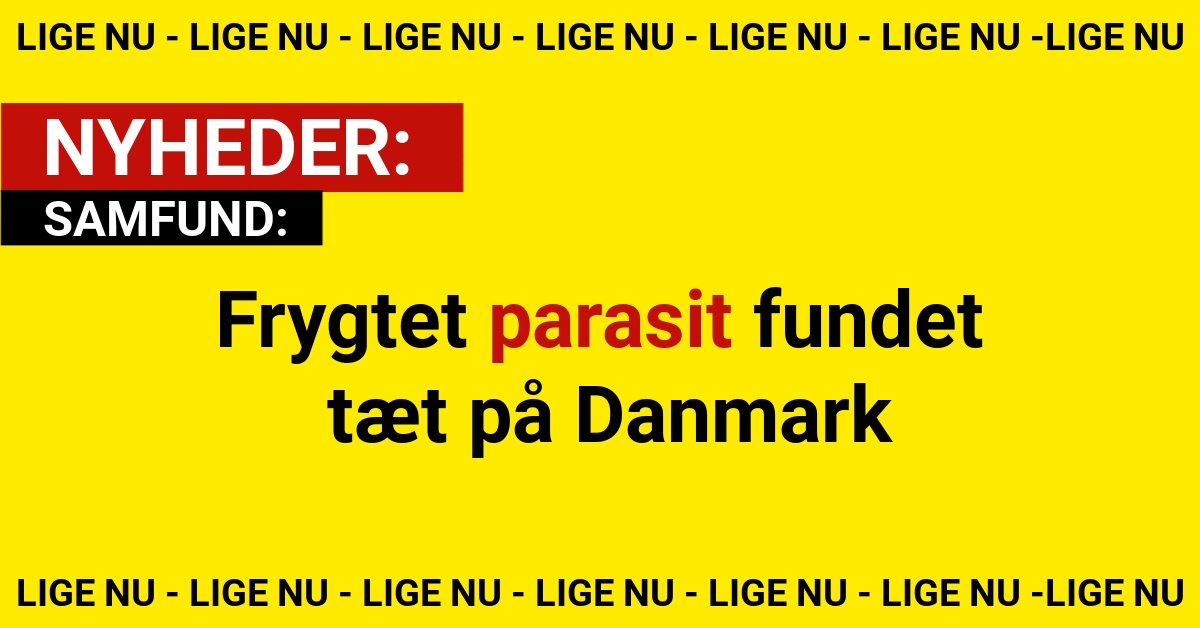 Frygtet parasit fundet tæt på Danmark