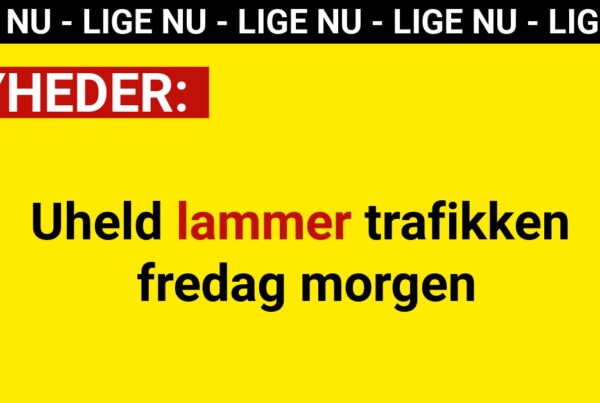 Uheld lammer trafikken fredag morgen