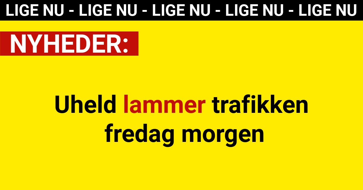 Uheld lammer trafikken fredag morgen