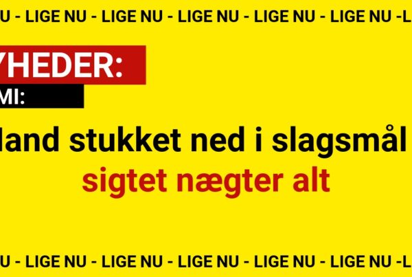 Mand stukket ned i slagsmål – sigtet nægter alt