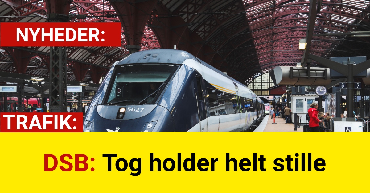 DSB: Tog holder helt stille