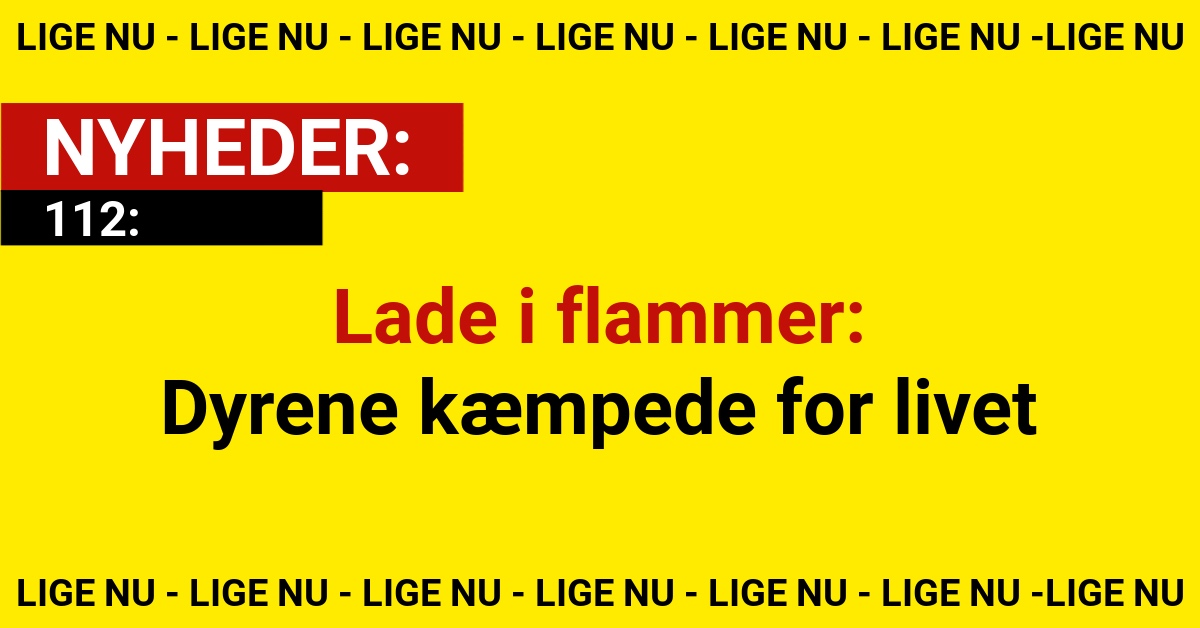 Lade i flammer: Dyrene kæmpede for livet