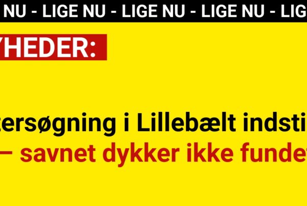 Eftersøgning i Lillebælt indstillet – savnet dykker ikke fundet