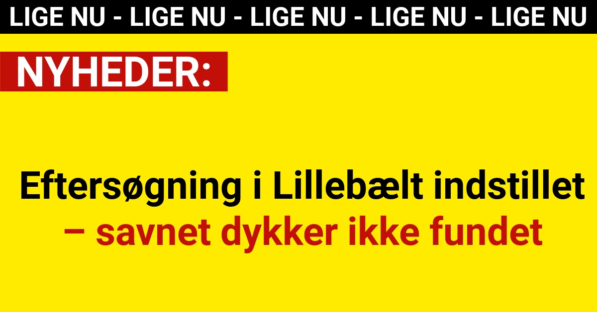 Eftersøgning i Lillebælt indstillet – savnet dykker ikke fundet