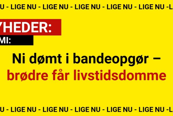 Ni dømt i bandeopgør – brødre får livstidsdomme