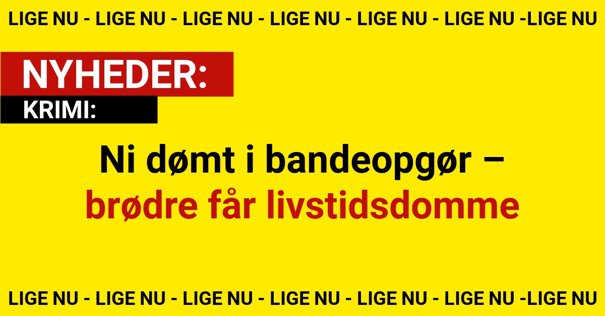 Ni dømt i bandeopgør – brødre får livstidsdomme